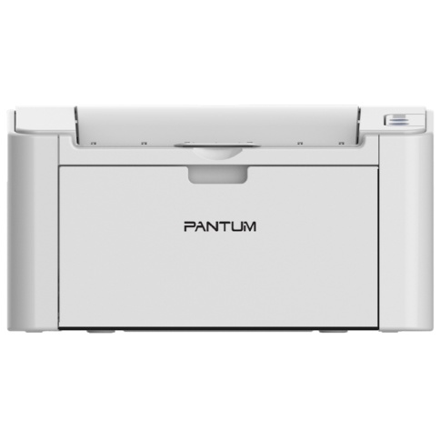 Купить Принтер лазерный Pantum P2200, Серый