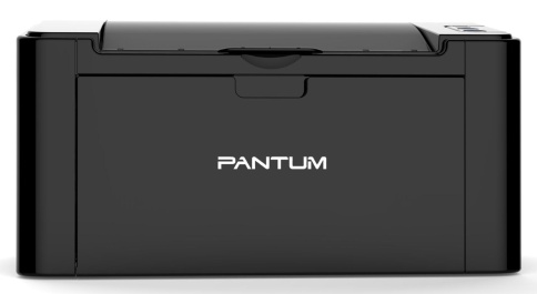 Купить Принтер лазерный Pantum P2207 черно-белая печать, A4, Чёрный